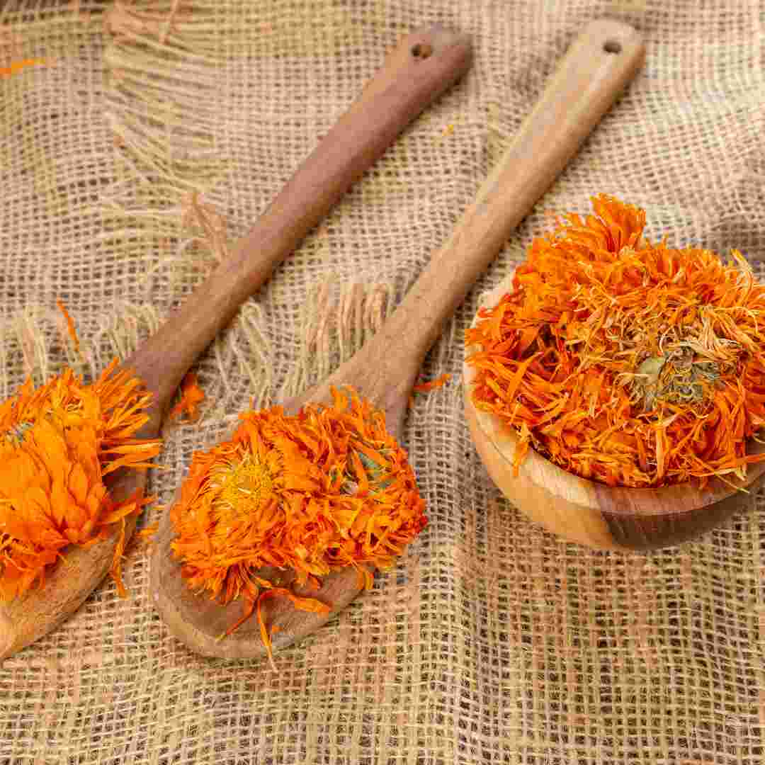 Calendula Herbs