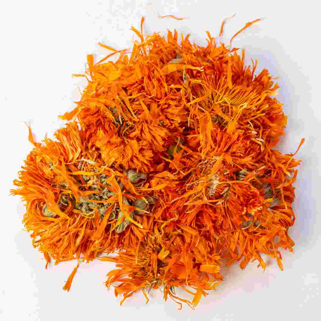 Calendula
